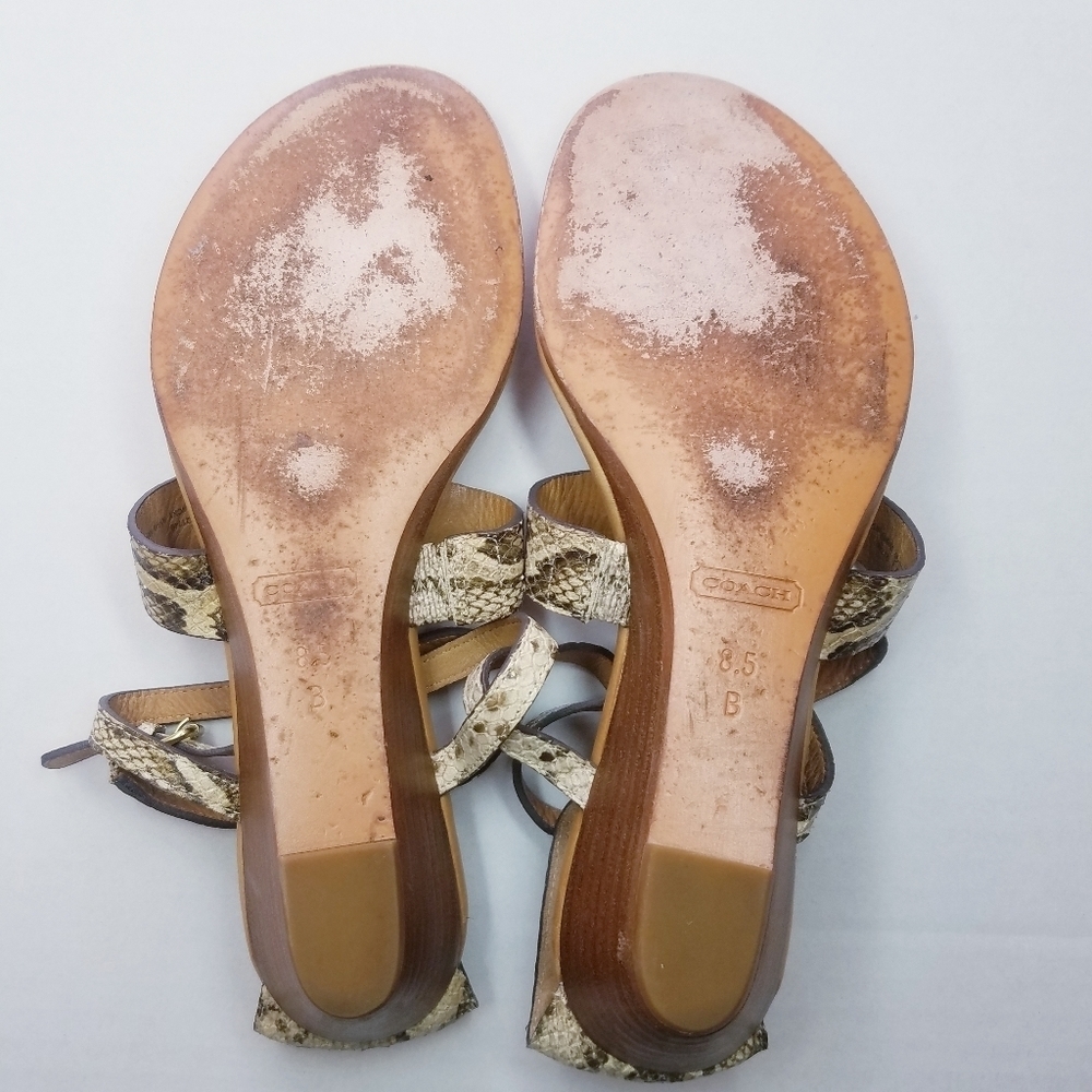 🌸 Coach | Snakeskin Leather Sandals 8.5 - Picture 5 of 7